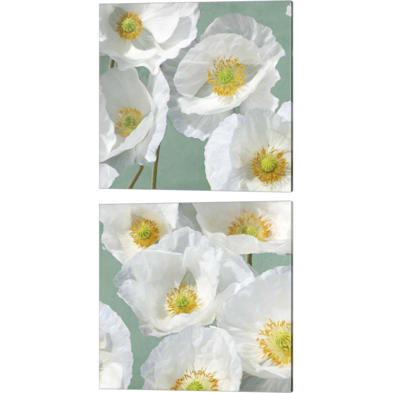 Poppies on Mint by Leonardo Sanna 14" x 14" Canvas Wall Art (Set of 2)